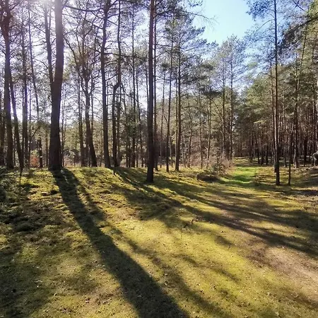 Holiday home Biala Dom Z Widokiem *