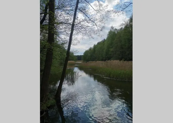 Holiday home Biala Dom Z Widokiem