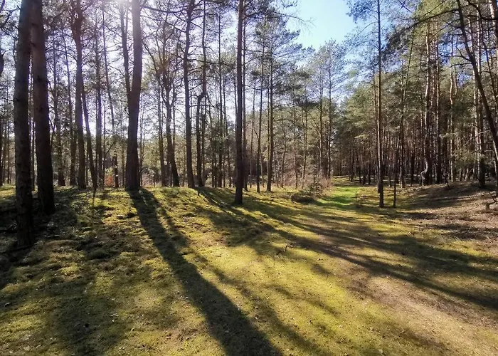 Holiday home Biala Dom Z Widokiem *